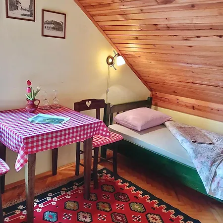 Putnicka Kuca Kod Dragane Guest house *