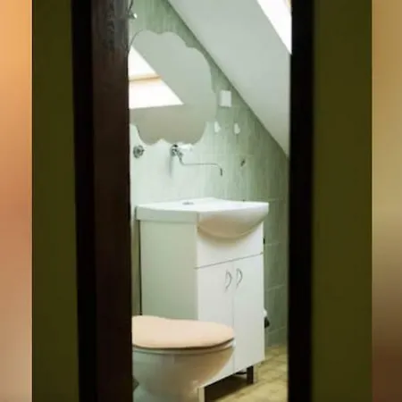 Putnicka Kuca Kod Dragane Guest house
