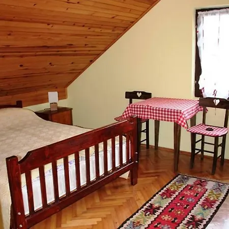 Putnicka Kuca Kod Dragane ゲストハウス バイナ・バシュタ