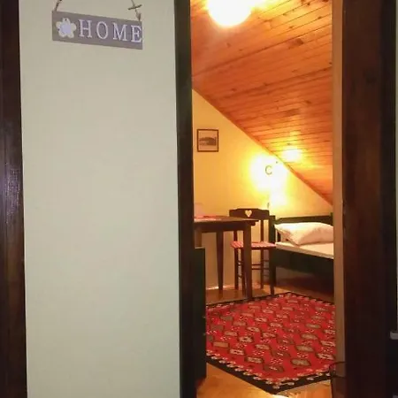 Putnicka Kuca Kod Dragane ゲストハウス バイナ・バシュタ