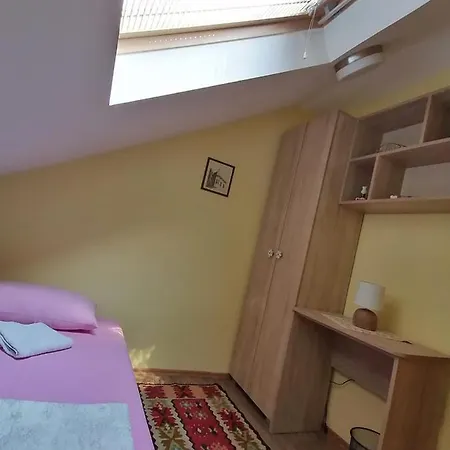 Putnicka Kuca Kod Dragane Guest house *