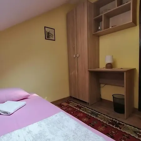 Putnicka Kuca Kod Dragane ゲストハウス 4*